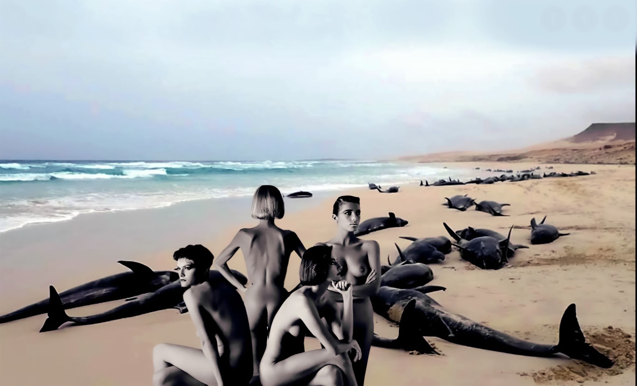 Naked on Dolphine Beach